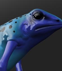 Frog03.jpg