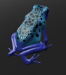Frog04.jpg