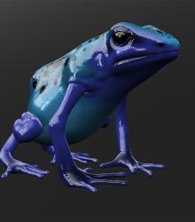 Poison Frog