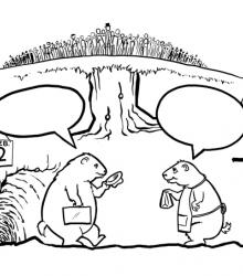 Groundhog_Small.jpg